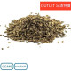 Carrot Seed-胡蘿蔔籽